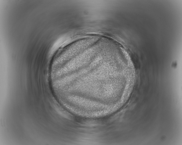 X0000089870293200707262155