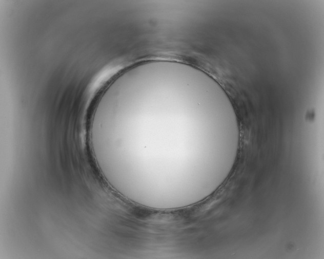X0000089870294200707262155