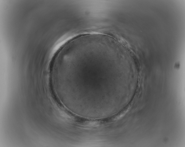 X0000089870295200707262155