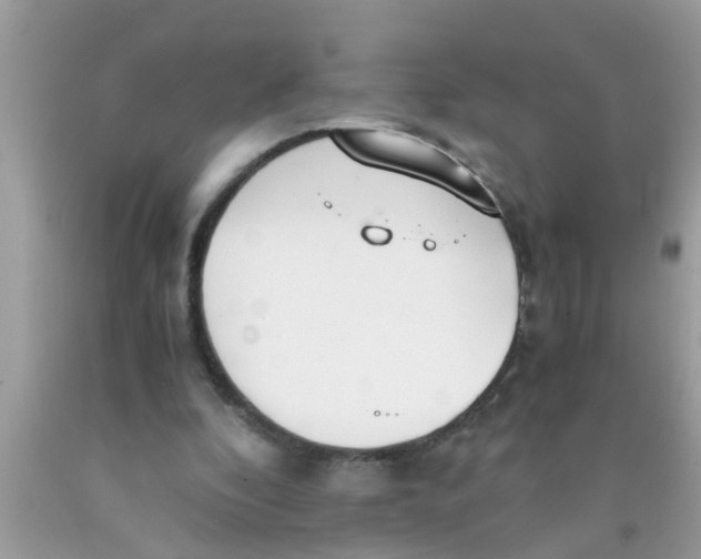 X0000089870296200707262155