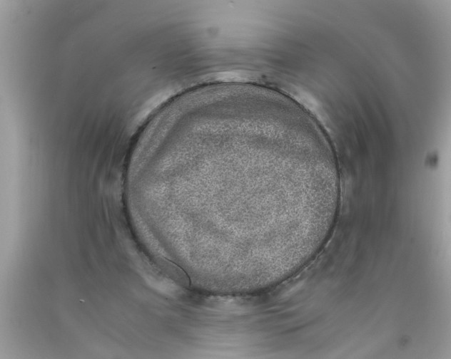 X0000089870297200707262155