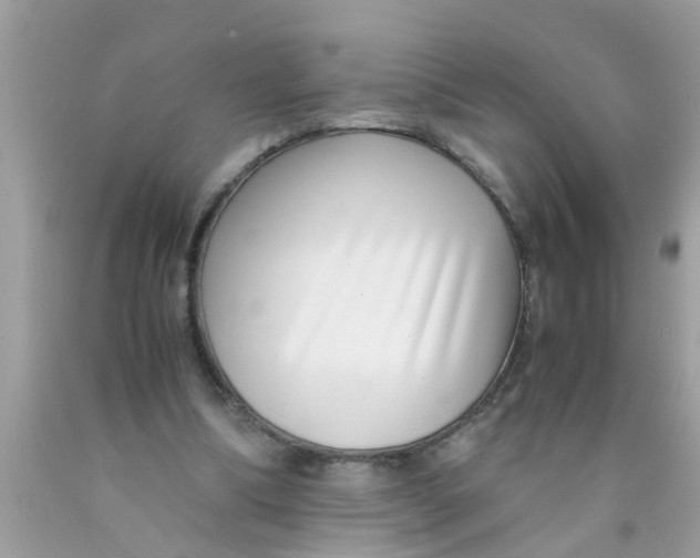 X0000089870298200707262155
