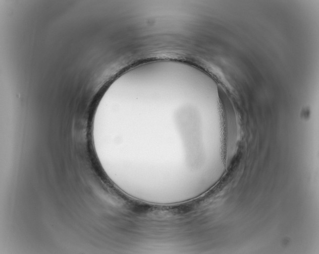 X0000089870299200707262155