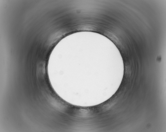 X0000089870302200707262155