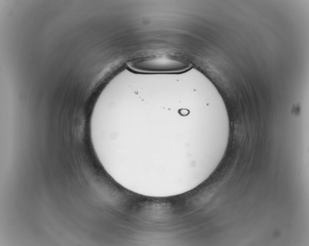 X0000089870304200707262155