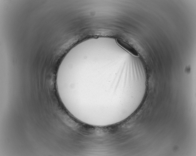 X0000089870305200707262155