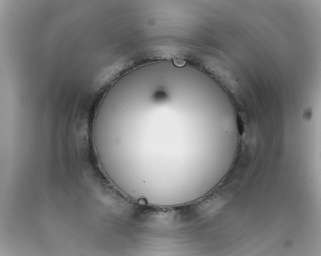 X0000089870306200707262155