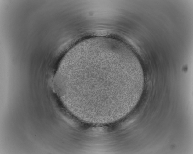 X0000089870307200707262155