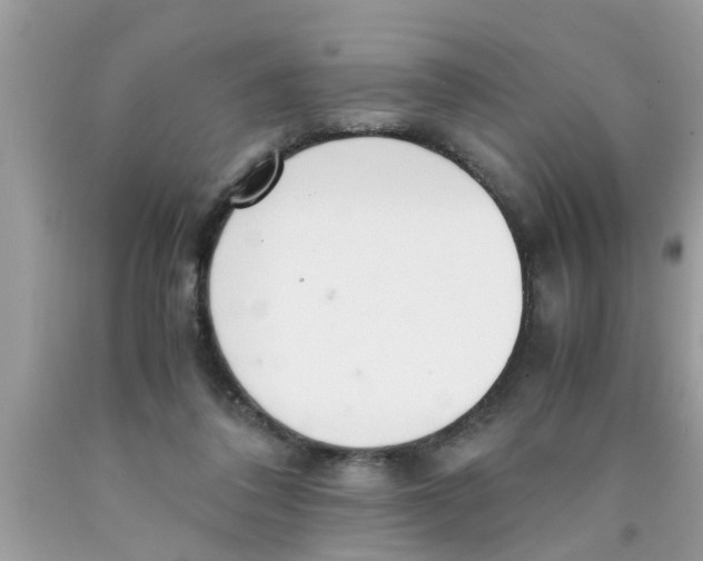 X0000089870308200707262155