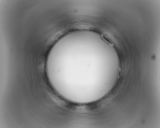 X0000089870309200707262155