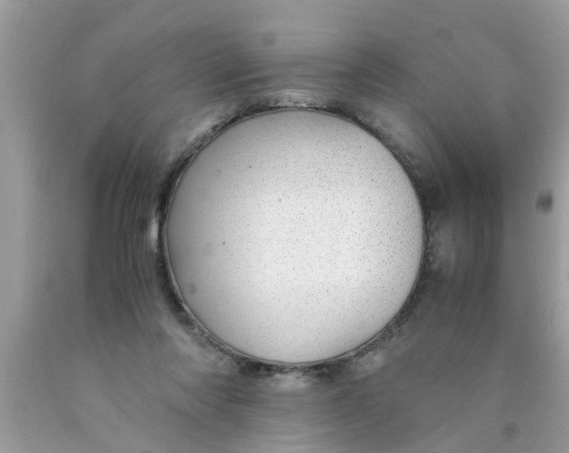 X0000089870310200707262155
