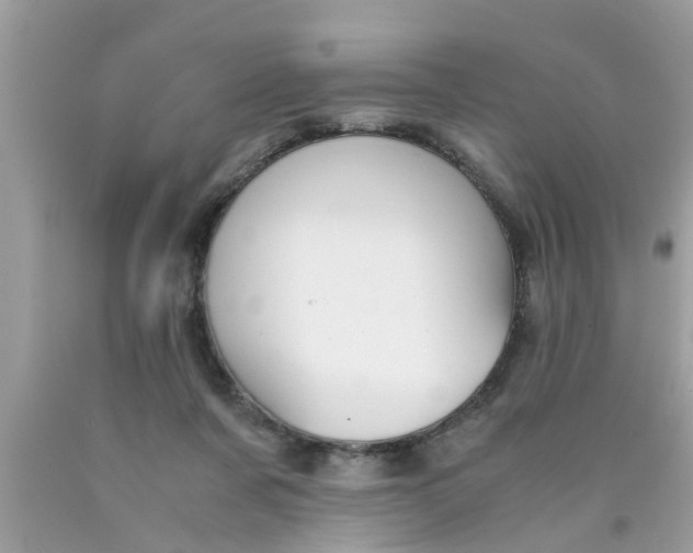 X0000089870311200707262155