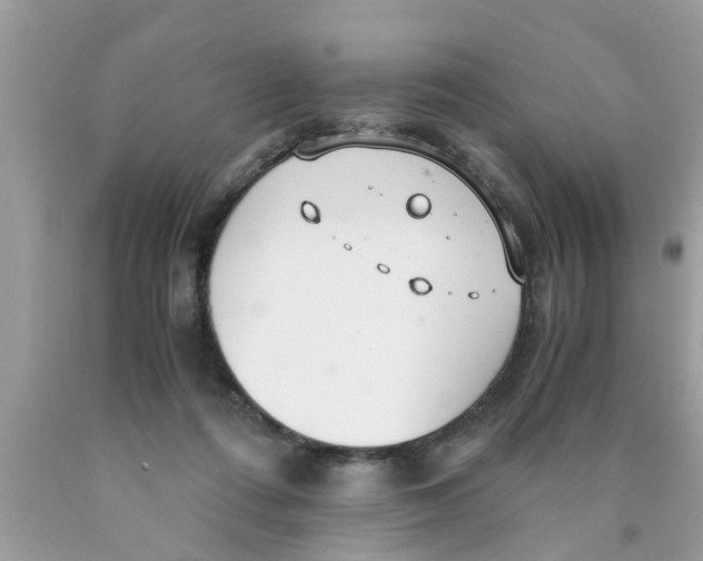 X0000089870312200707262155