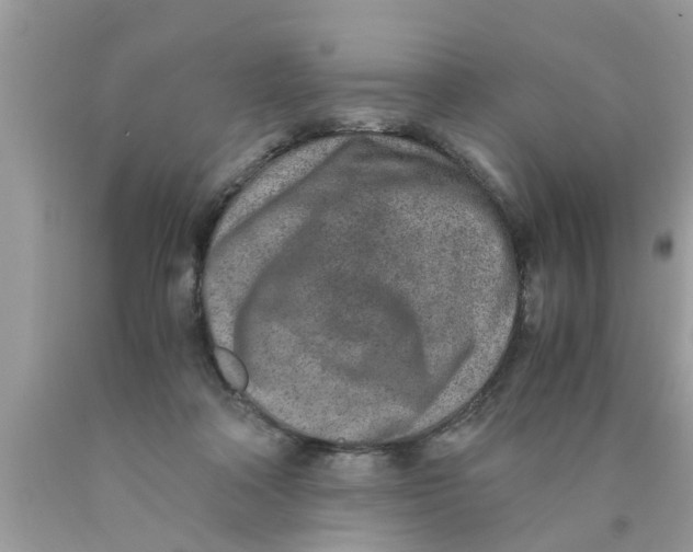 X0000089870314200707262155