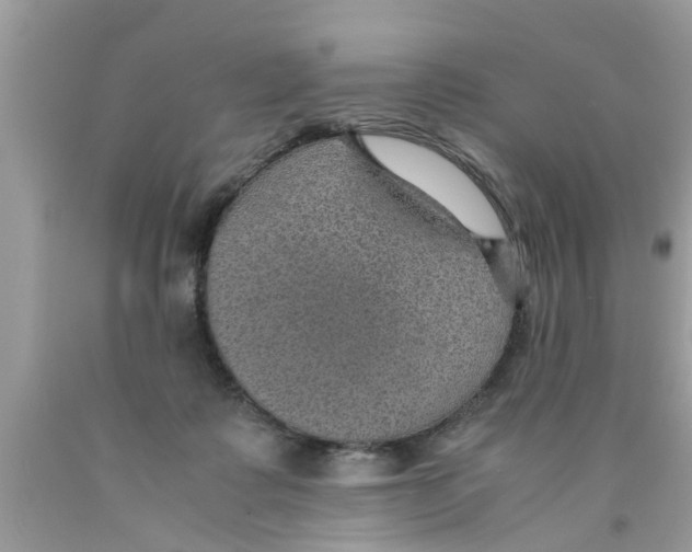 X0000089870315200707262155