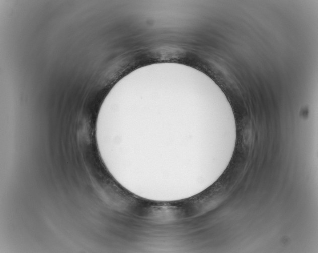 X0000089870316200707262155
