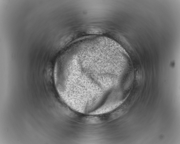 X0000089870322200707262154