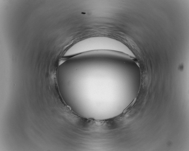 X0000089870329200707262154