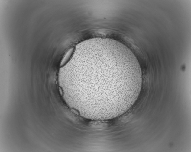 X0000089870331200707262154