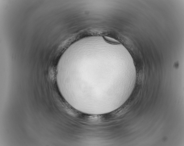 X0000089870335200707262154