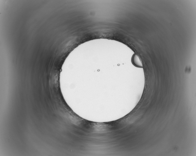 X0000089870336200707262154