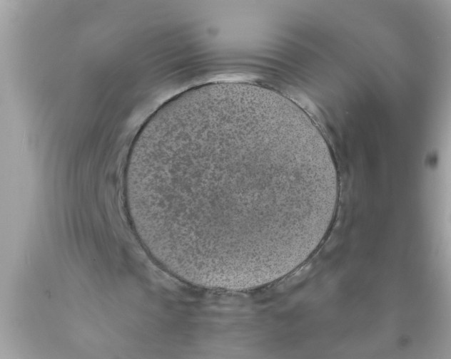 X0000089870337200707262153