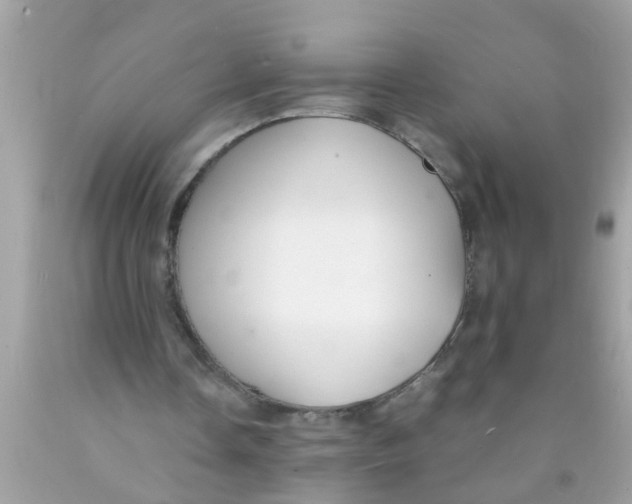 X0000089870338200707262154