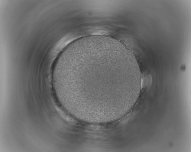 X0000089870339200707262154