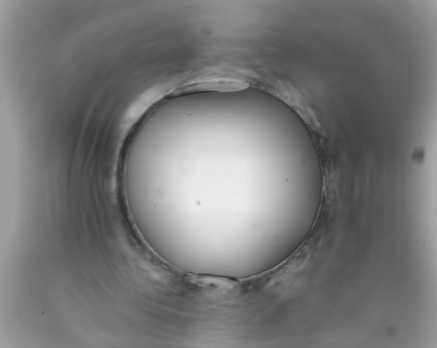 X0000089870340200707262154
