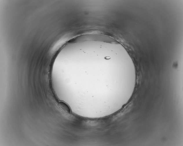 X0000089870341200707262154