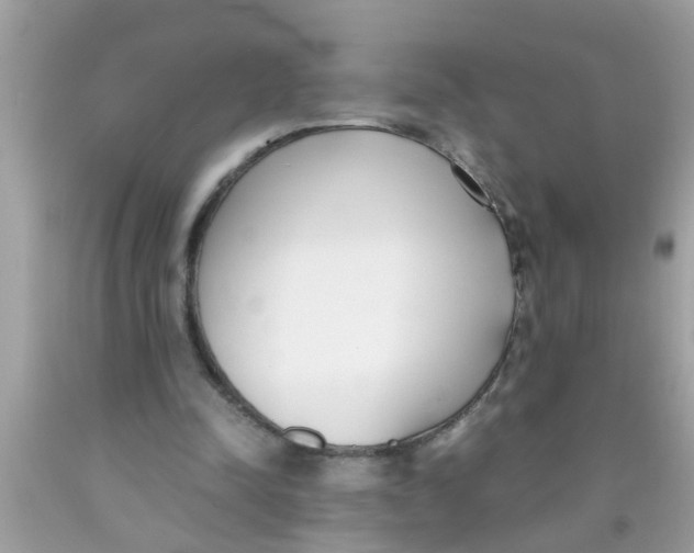 X0000089870342200707262154
