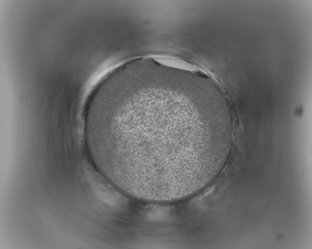 X0000089870343200707262154