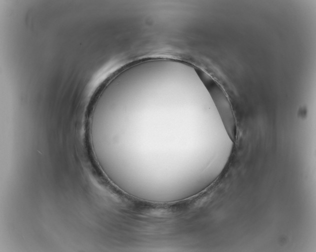 X0000089870344200707262154