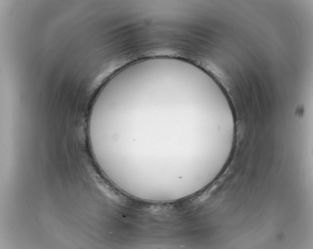X0000089870345200707262154