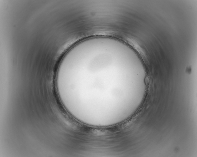 X0000089870346200707262154