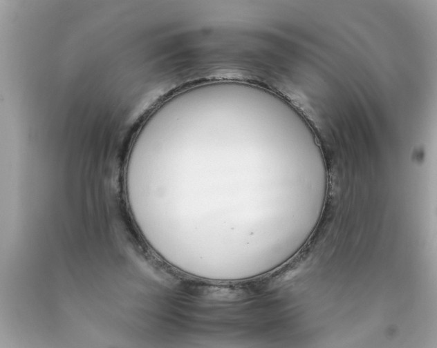 X0000089870347200707262154