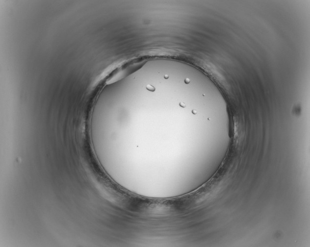 X0000089870348200707262154
