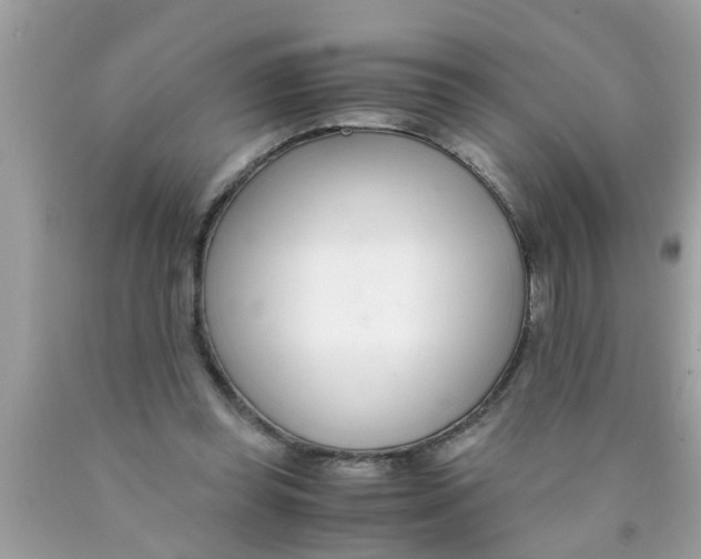 X0000089870349200707262154