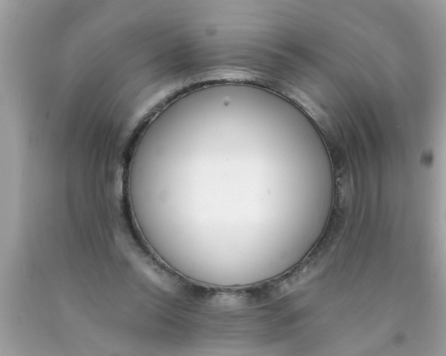 X0000089870350200707262154