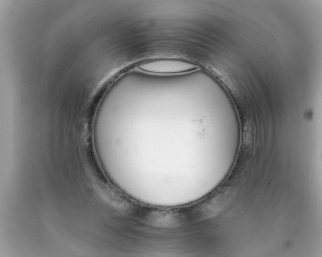 X0000089870351200707262154