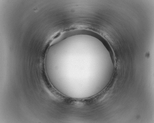 X0000089870352200707262154
