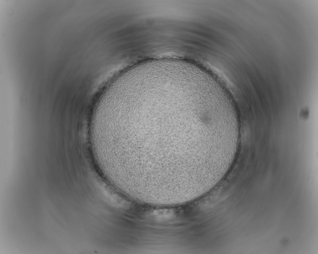 X0000089870353200707262154