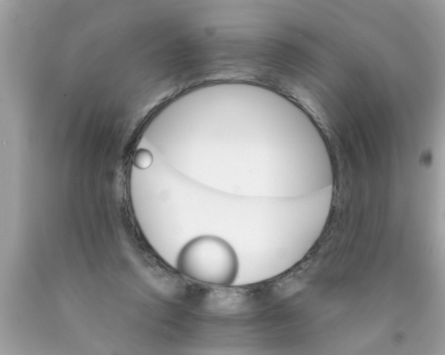 X0000089870354200707262154