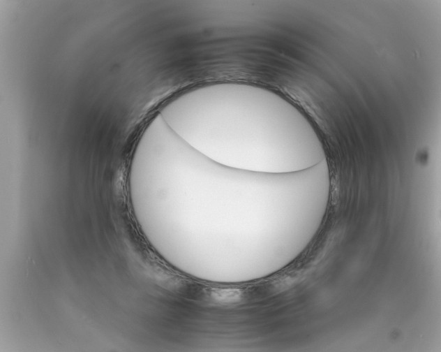 X0000089870355200707262154