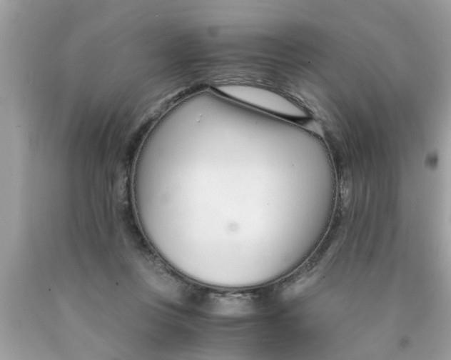 X0000089870359200707262154