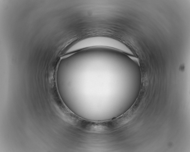 X0000089870360200707262154