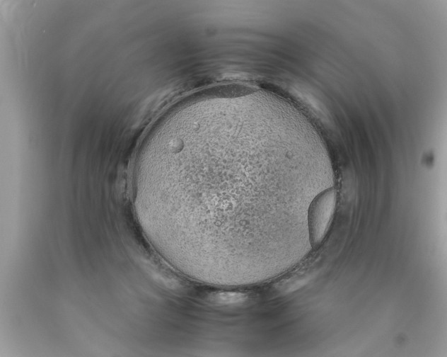 X0000089870361200707262154