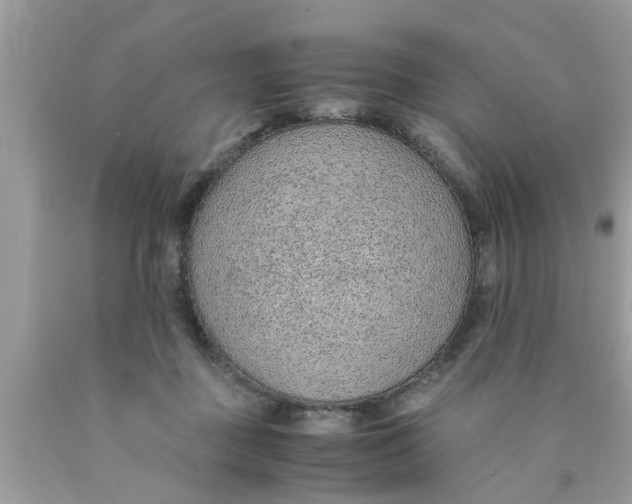 X0000089870363200707262154