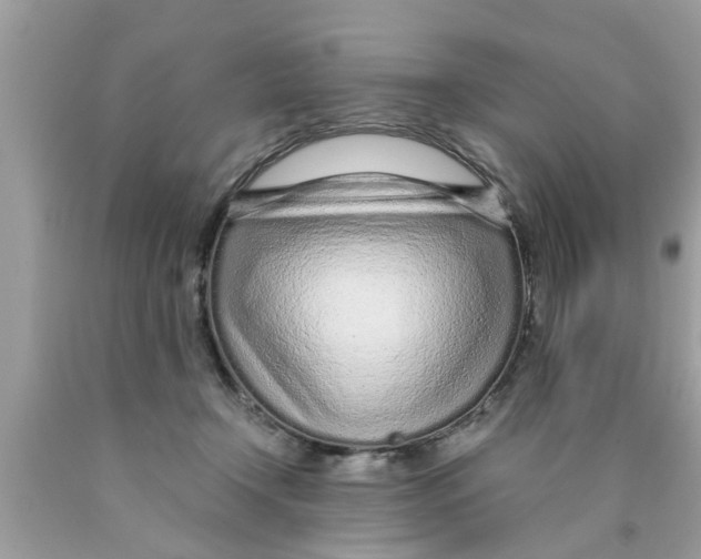 X0000089870366200707262154