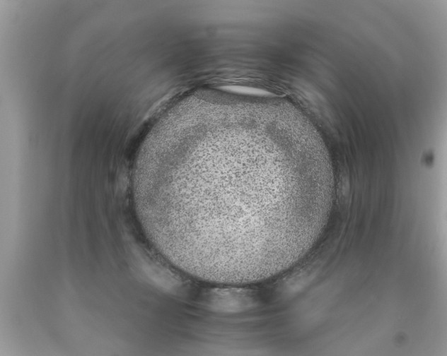 X0000089870367200707262154